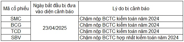 Loạt cổ phiếu BCG, TCD, SMC, SBV bị HOSE cảnh báo