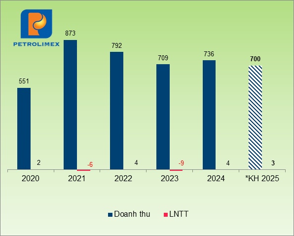 ĐHĐCĐ Pitco: Quý 1 ước lỗ 3 tỷ, công ty mẹ lo không đạt kế hoạch vì thuế quan Mỹ