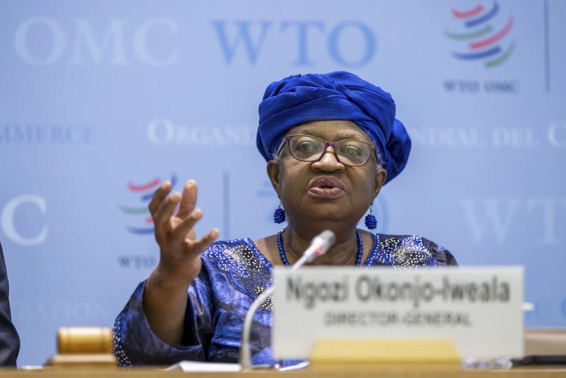 WTO hạ dự báo thương mại toàn cầu do chính sách thuế của Mỹ