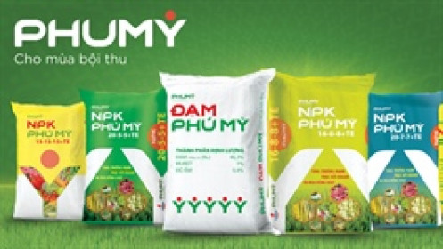 DPM ước lãi trước thuế hơn 200 tỷ trong quý 1