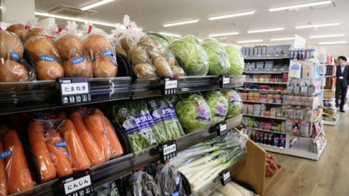 Thuế quan Mỹ có cản đường tăng lãi suất của Nhật Bản?