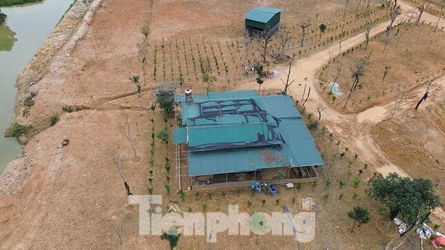 Hà Nội: Đang bị điều tra, đối tượng chiếm đất, đe dọa cán bộ nhận thêm quyết định phạt hành chính