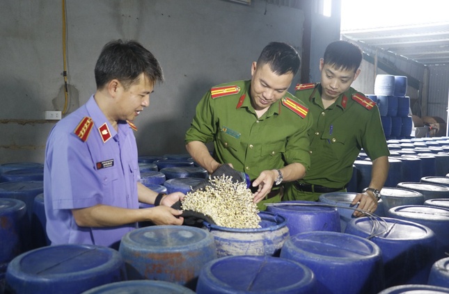 Hé lộ thị trường tiêu thụ 3.500 tấn giá đỗ ngâm 'nước kẹo'