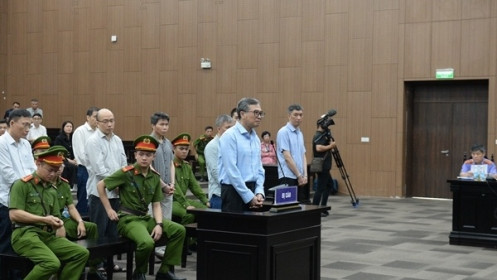 Cựu Thứ trưởng Hoàng Quốc Vượng thừa nhận làm sai, gây thiệt hại cho Nhà nước