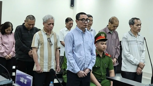 Cựu Tổng Giám đốc Tổng Công ty Chè Việt Nam lĩnh án 12 năm tù
