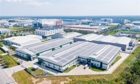 Long Hậu lãi quý 1 hơn 110 tỷ, thực hiện 75% kế hoạch năm