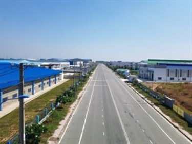 Lợi nhuận quý 1 TIP đi lùi 30%