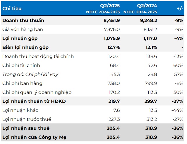 HSG gặp khó: Lãi giảm 36% và bị Mỹ 'siết' thuế chống bán phá giá