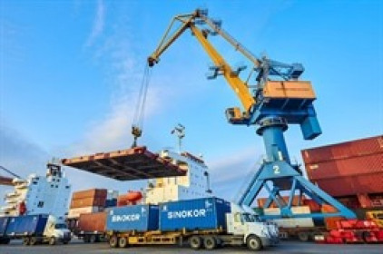 Viconship nâng sở hữu tại HAH lên gần 6.5%, chính thức trở thành cổ đông lớn