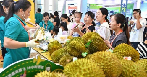 Việt Nam cạnh tranh khốc liệt thị phần sầu riêng ở Trung Quốc