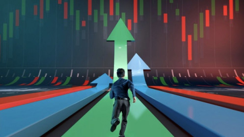 "Giá cổ phiếu chạy trước lợi nhuận, mua bán dựa vào kết quả kinh doanh ngắn hạn là không hiệu quả"