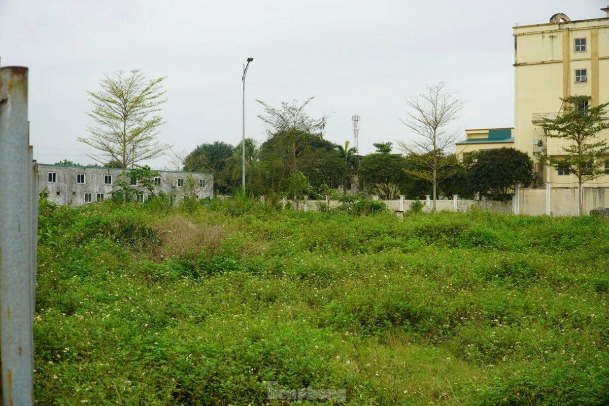 Loạt dự án trên ‘đất vàng’ dở dang, hoang tàn ở trung tâm TP Hà Tĩnh