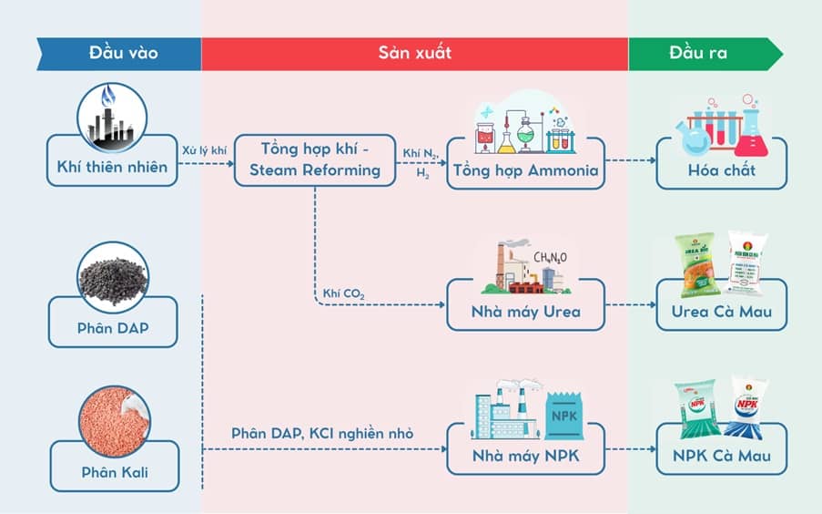 DCM - Kỳ vọng tăng trưởng ổn định (Kỳ 1)