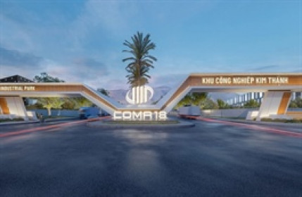 Vì sao cổ phiếu CIG vừa thoát diện cảnh báo nhưng vẫn còn bị cảnh báo?