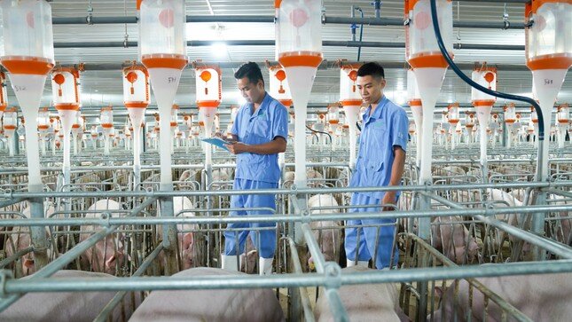 BAF đặt mục tiêu lợi nhuận trước thuế trên 770 tỷ năm 2025 ảnh 3