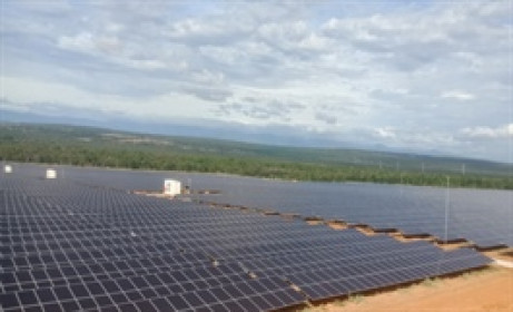 Một doanh nghiệp của đại gia năng lượng bị phạt do không công bố thông tin