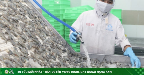 Sau sáp nhập, một tỉnh có thế mạnh về cà phê bất ngờ thành "vựa nuôi tôm" lớn