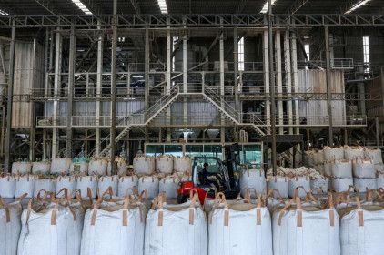 Xuất khẩu gạo Thái Lan lao dốc 30%, Việt Nam vượt lên