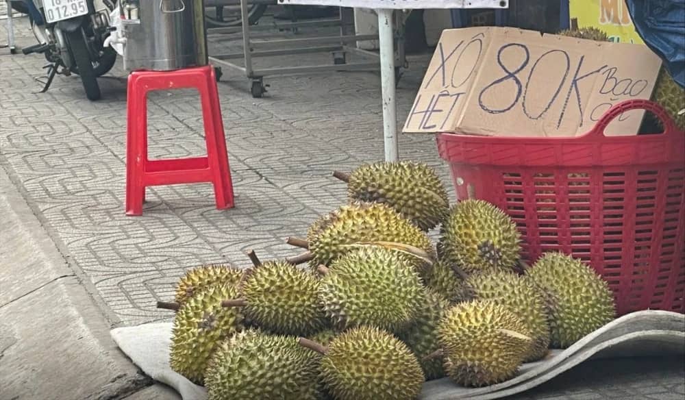 Giá sầu riêng Ri 6 đội gấp 3 từ vườn đến chợ, vì sao?