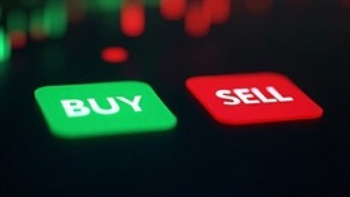 Quỹ đầu tư duy trì lực mua