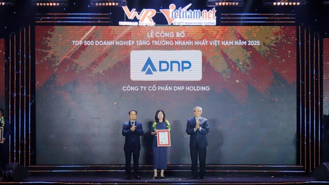 Đại hội cổ đông DNP Holding 2025: Mục tiêu doanh thu gần 9.700 tỷ đồng, tập trung đầu tư hạ tầng ảnh 2
