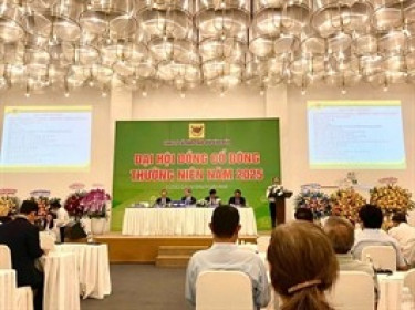 ĐHĐCĐ BFC: Vì sao kế hoạch năm 2025 thấp hơn năm 2024?