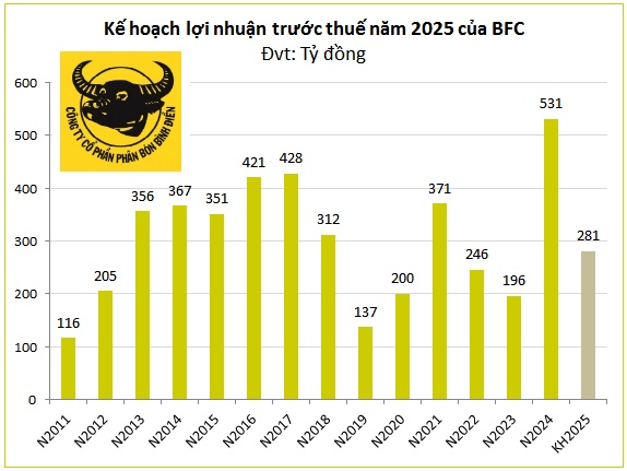 ĐHĐCĐ BFC: Vì sao kế hoạch năm 2025 thấp hơn năm 2024?