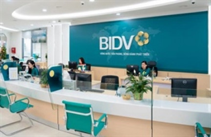 Thu nhập khác tăng đột biến, lãi trước thuế BIDV đi ngang trong quý 1/2025