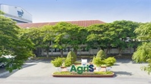 TTC AgriS (SBT): Kết quả kinh doanh quý 3 tiếp tục tăng trưởng, cổ phiếu vượt đỉnh 3 năm