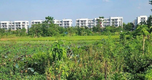 Vĩnh Phúc thu hồi gần 1,1ha đất của 14 hộ để làm dự án đô thị