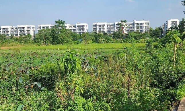 Vĩnh Phúc thu hồi gần 1,1ha đất của 14 hộ để làm dự án đô thị ảnh 1