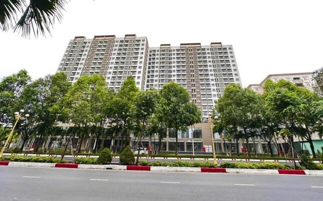 Đề xuất thu hồi căn hộ nhà ở xã hội sai đối tượng ảnh 1