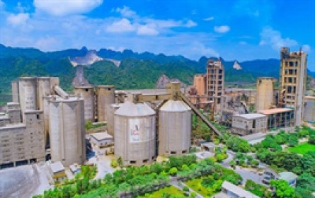 Xi măng VICEM Bút Sơn nối dài quý thua lỗ lên con số 10