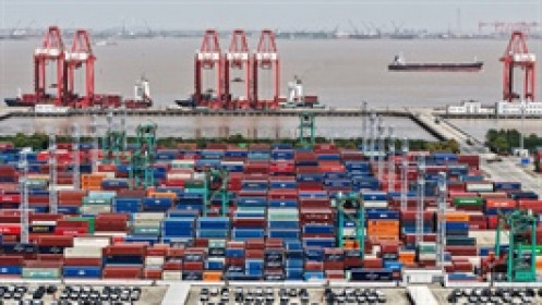 Doanh nghiệp logistics miền Trung thưởng cổ phiếu tỷ lệ "khủng" hơn 158%