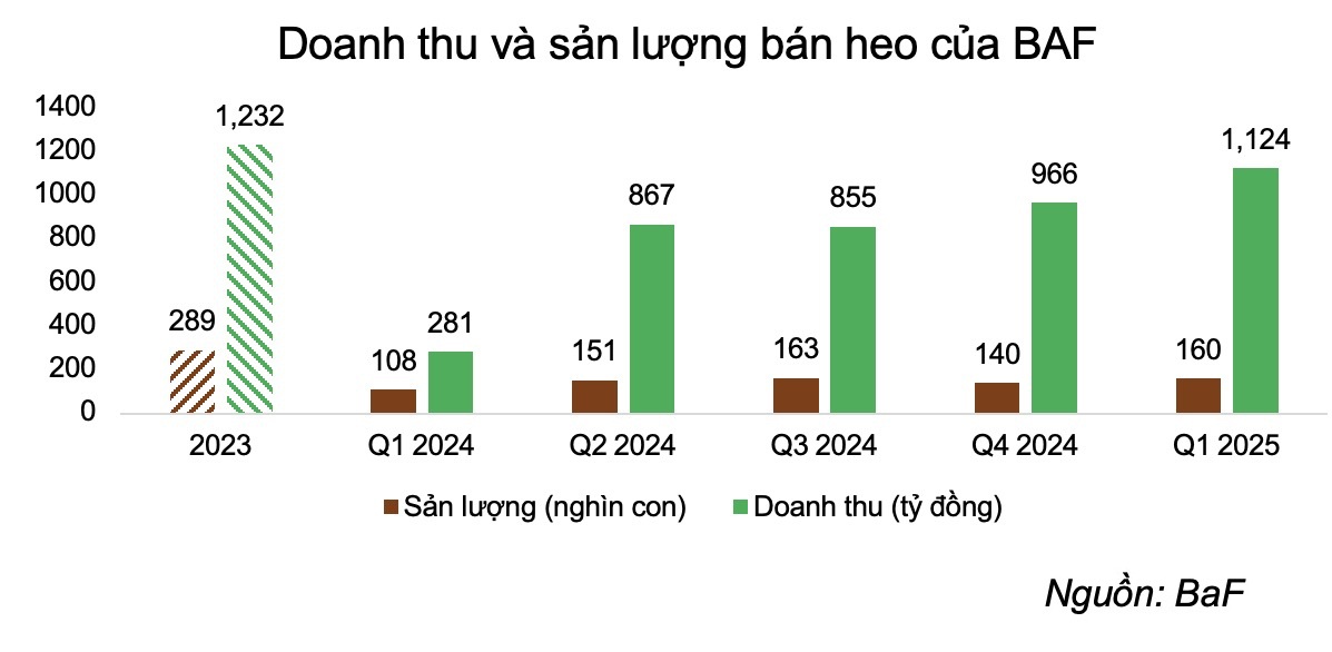 BAF lập kỷ lục lợi nhuận chăn nuôi kể từ khi niêm yết