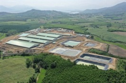 BAF lập kỷ lục lợi nhuận chăn nuôi kể từ khi niêm yết