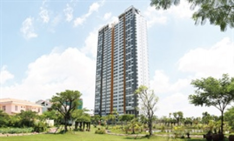 VPH tiếp tục thua lỗ quý đầu năm dù mảng xây dựng khởi sắc