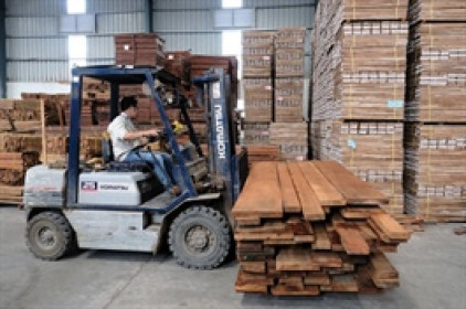 Lãi ròng quý 1 của Phú Tài tăng 27%, cao nhất 10 quý