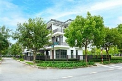 Thiếu vắng doanh thu từ bất động sản, Hà Đô báo lãi quý 1 giảm 30%