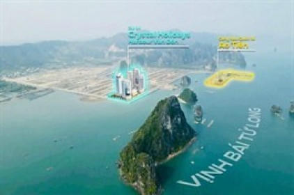 EVG đặt mục tiêu lãi sau thuế 2025 gấp hơn 3 lần, đưa vào vận hành dự án ở Quảng Ninh trong quý 3