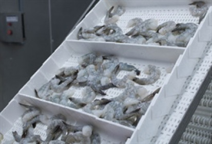 Stapimex lên kế hoạch lợi nhuận 2025 đi ngang giữa bất ổn thuế đối ứng của Mỹ