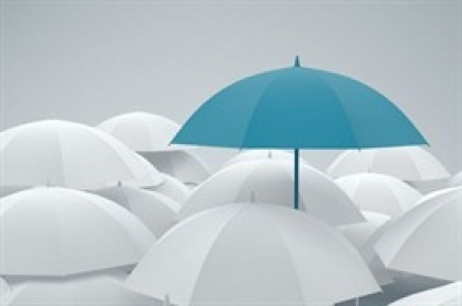 Lợi nhuận ròng VNR lao dốc 50% trong quý 1 dù doanh thu phí nhận tái bảo hiểm tăng vọt