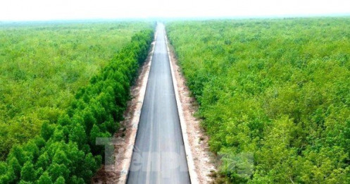 Dự án đường Hồ Chí Minh qua 4 tỉnh phía Nam vừa 'lỡ hẹn' về đích