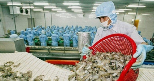 Trung Quốc tiêu thụ thủy sản Việt Nam nhiều nhất