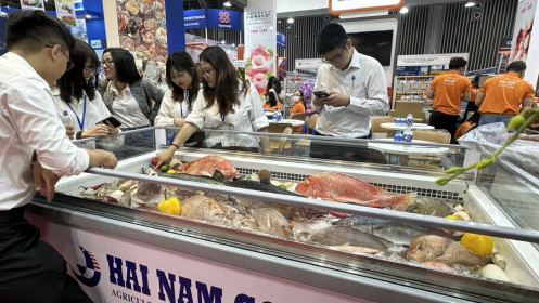 Hướng nào cho xuất khẩu thủy sản trước thuế quan của Hoa Kỳ?