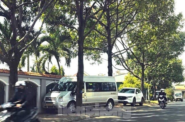 Bộ Công an đề nghị Đắk Lắk cung cấp hồ sơ dự toán 4 dự án cây xanh