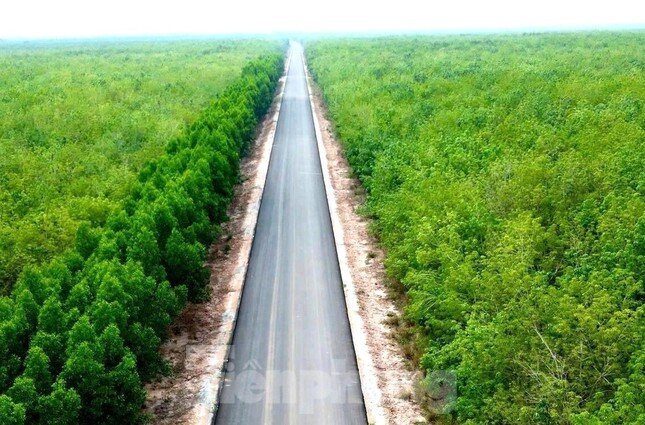 Dự án đường Hồ Chí Minh qua 4 tỉnh phía Nam vừa lỡ hẹn về đích ảnh 2