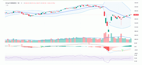 VN-Index có thể sẽ cần thêm một số phiên tích lũy
