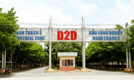 D2D sắp chia cổ tức 2024 bằng tiền, tỷ lệ 84%