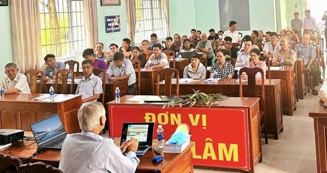 'Vua trái cây' rớt giá thảm: Đằng sau việc nhà nhà, người người trồng sầu riêng
